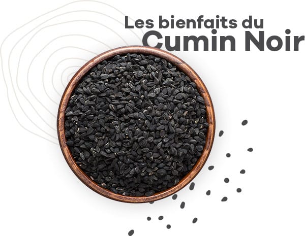 Graine de cumin noir, bienfaits cumin noir bio